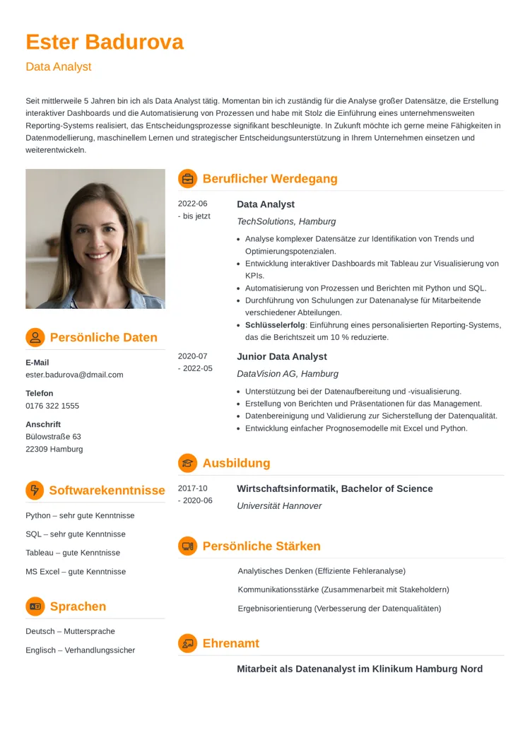 lebenslauf data analyst beispiel