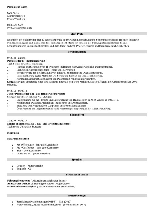 lebenslauf projektleiter
