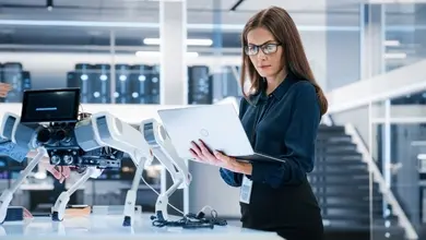 Lebenslauf als technischer Programm-Manager: Muster